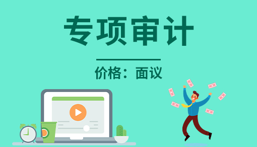專項(xiàng)審計(jì)