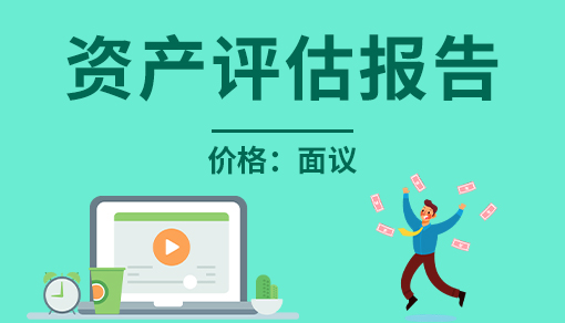 資產(chǎn)評估報(bào)告（評估值500萬以下）