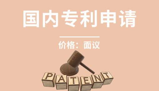 國(guó)內(nèi)專利申請(qǐng)