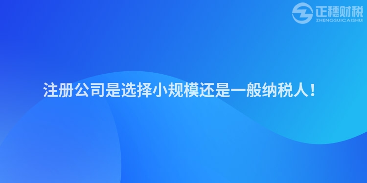 注冊公司是選擇小規(guī)模還是一般納稅人！