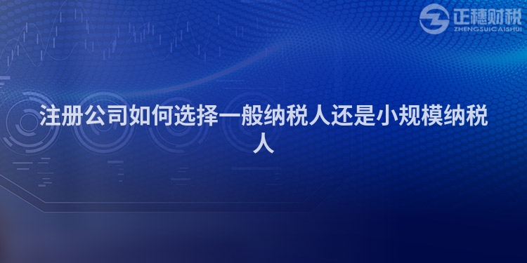 注冊公司如何選擇一般納稅人還是小規(guī)模納稅人