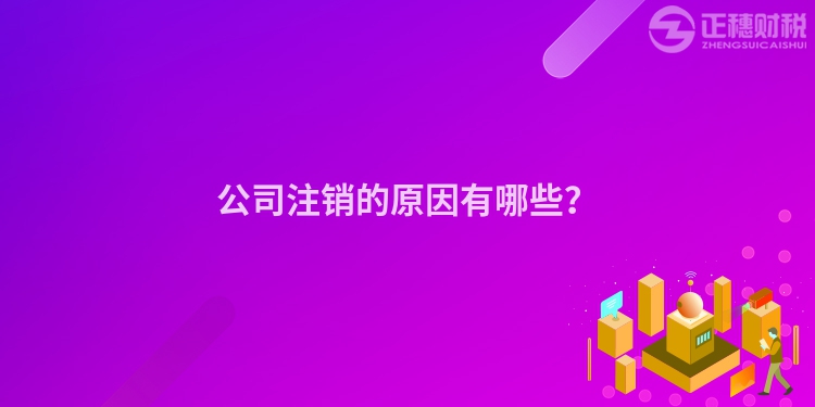 公司注銷(xiāo)的原因有哪些？