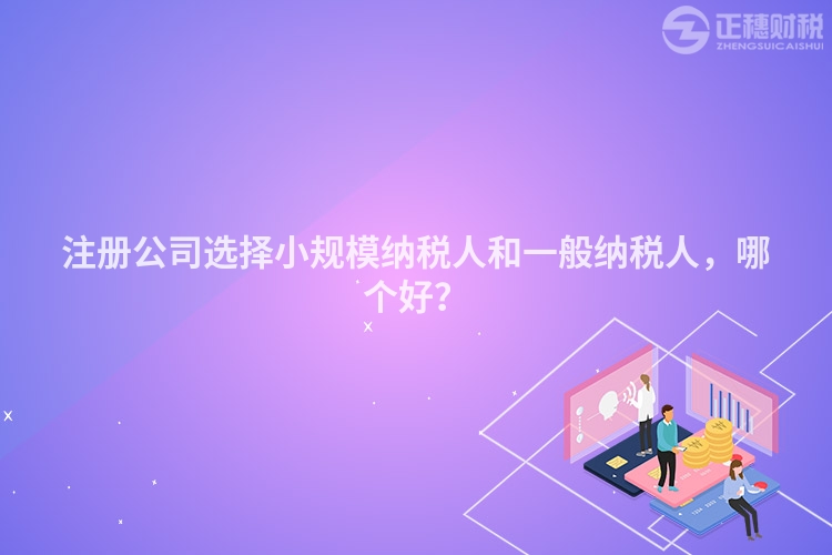 注冊公司選擇小規(guī)模納稅人和一般納稅人，哪個好？
