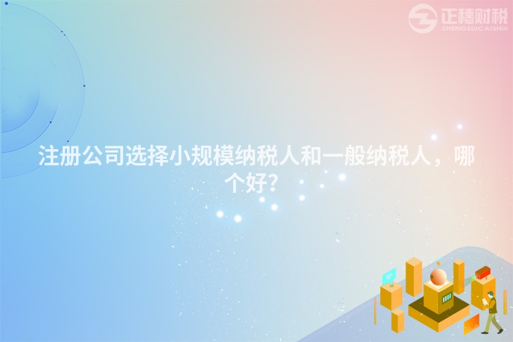 注冊(cè)公司選擇小規(guī)模納稅人和一般納稅人，哪個(gè)好？
