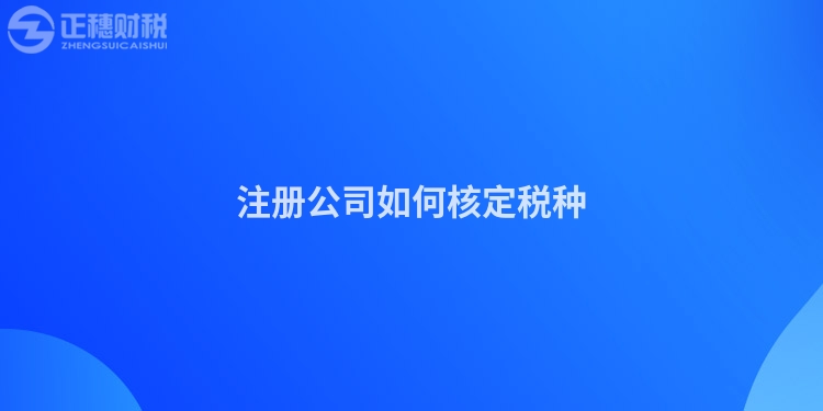 注冊(cè)公司如何核定稅種