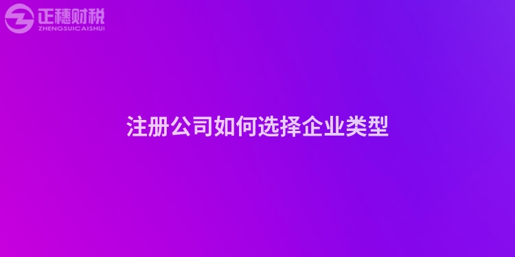 注冊公司如何選擇企業(yè)類型