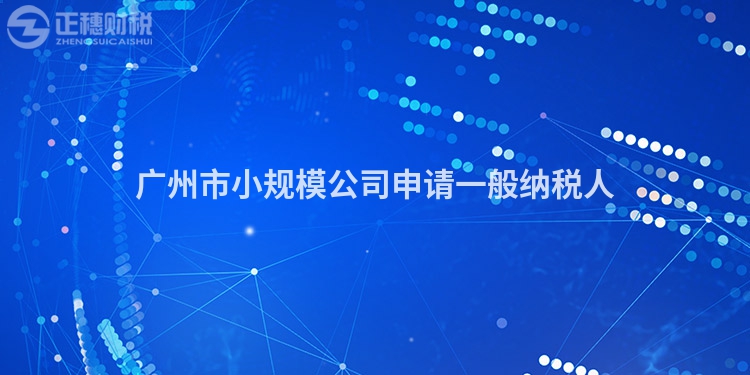 廣州市小規(guī)模公司申請一般納稅人