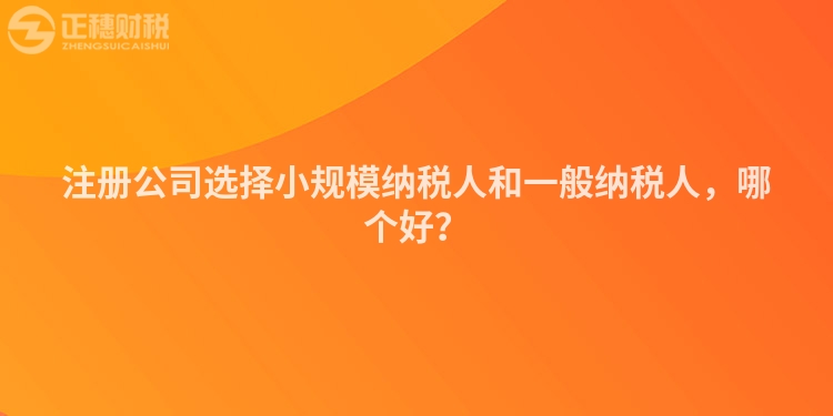 注冊公司選擇小規(guī)模納稅人和一般納稅人，哪個好？