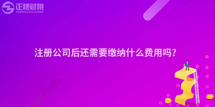 注冊(cè)公司后還需要繳納什么費(fèi)用嗎？