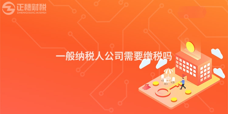 一般納稅人公司需要繳稅嗎