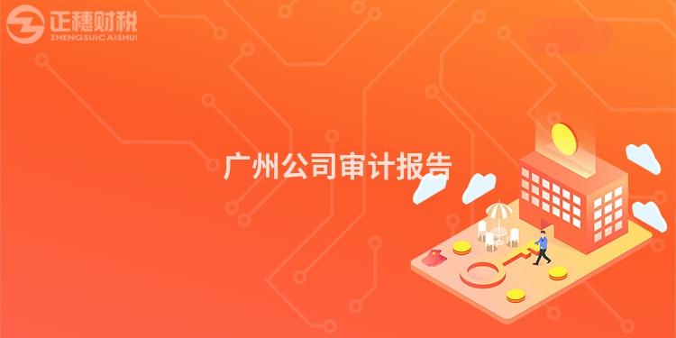 廣州公司審計報告