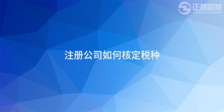 注冊公司如何核定稅種
