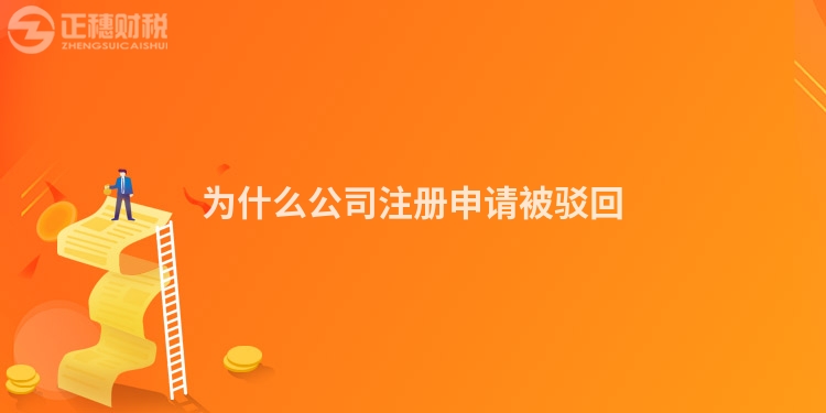 為什么公司注冊申請被駁回