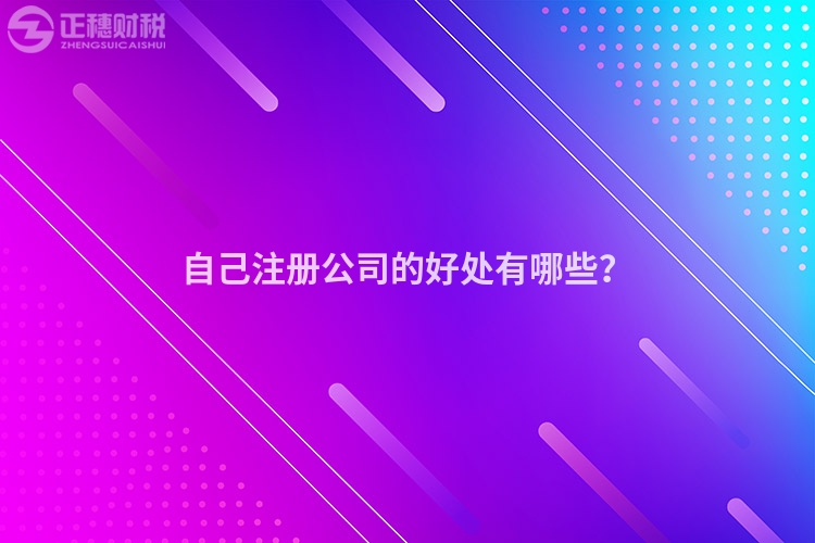 自己注冊公司的好處有哪些？