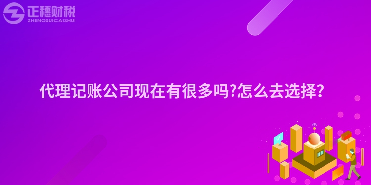 代理記賬公司現(xiàn)在有很多嗎?怎么去選擇？