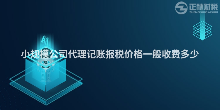 小規(guī)模公司代理記賬報(bào)稅價(jià)格一般收費(fèi)多少