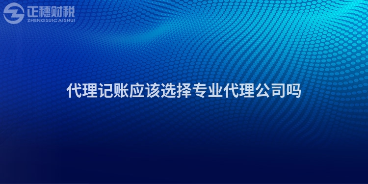 代理記賬應(yīng)該選擇專業(yè)代理公司嗎
