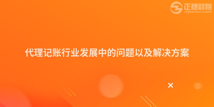 代理記賬行業(yè)發(fā)展中的問(wèn)題以及解決方案