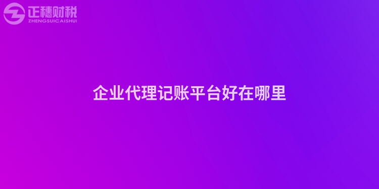 企業(yè)代理記賬平臺(tái)好在哪里