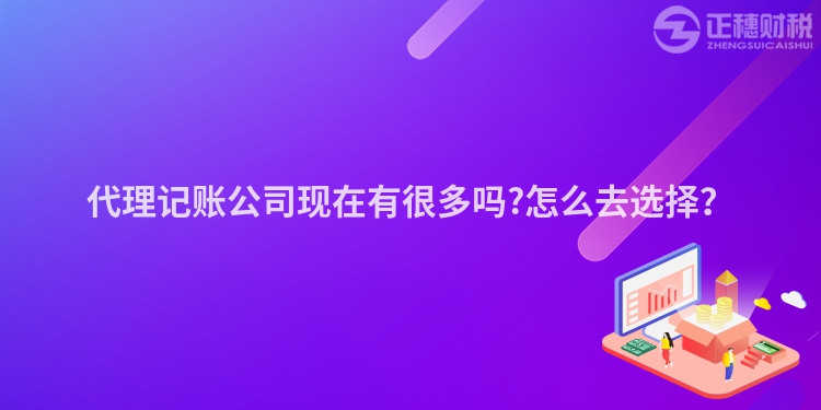 代理記賬公司現(xiàn)在有很多嗎?怎么去選擇？