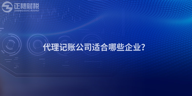 代理記賬公司適合哪些企業(yè)？