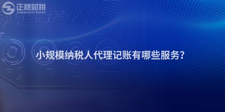 小規(guī)模納稅人代理記賬有哪些服務(wù)？