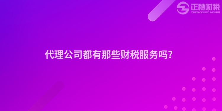 代理公司都有那些財(cái)稅服務(wù)嗎？
