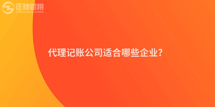 代理記賬公司適合哪些企業(yè)？