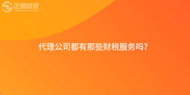 代理公司都有那些財稅服務(wù)嗎？