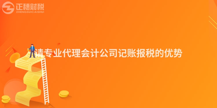 請(qǐng)專(zhuān)業(yè)代理會(huì)計(jì)公司記賬報(bào)稅的優(yōu)勢(shì)