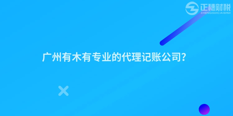 廣州有木有專業(yè)的代理記賬公司？