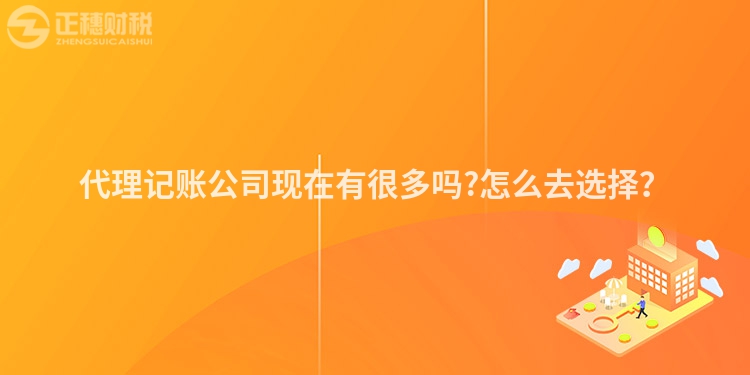 代理記賬公司現(xiàn)在有很多嗎?怎么去選擇？