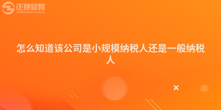 怎么知道該公司是小規(guī)模納稅人還是一般納稅人