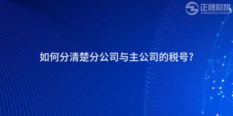 如何分清楚分公司與主公司的稅號?
