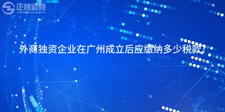 外商獨(dú)資企業(yè)在廣州成立后應(yīng)繳納多少稅款?