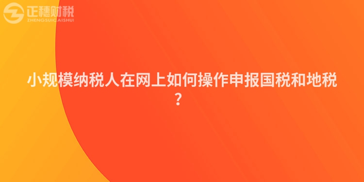 小規(guī)模納稅人在網(wǎng)上如何操作申報(bào)國稅和地稅？