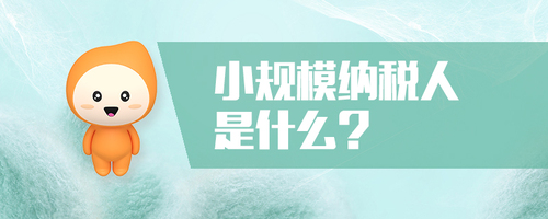 2021年小規(guī)模納稅人