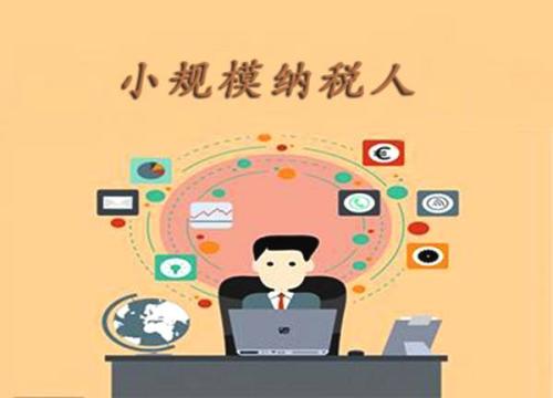 小規(guī)模納稅人的報稅流程
