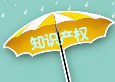 2021年廣州知識(shí)產(chǎn)權(quán)服務(wù)