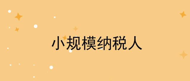 小規(guī)模納稅人,小規(guī)模納稅人和一般納稅人的區(qū)別