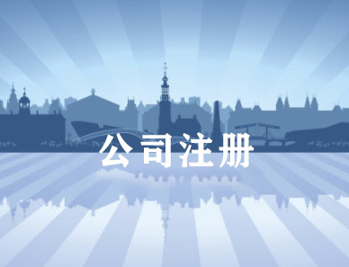 2021年廣州公司注冊
