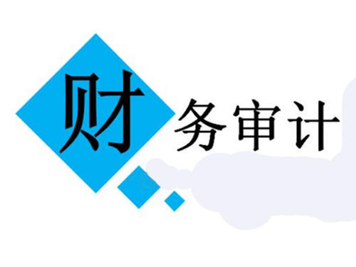 財(cái)務(wù)審計(jì)公司,審計(jì)工作流程?