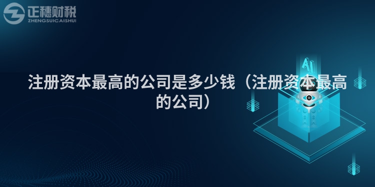 注冊資本最高的公司是多少錢（注冊資本最高的公司）