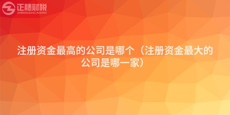 注冊(cè)資金最高的公司是哪個(gè)(注冊(cè)資金最大的公司是哪一家)