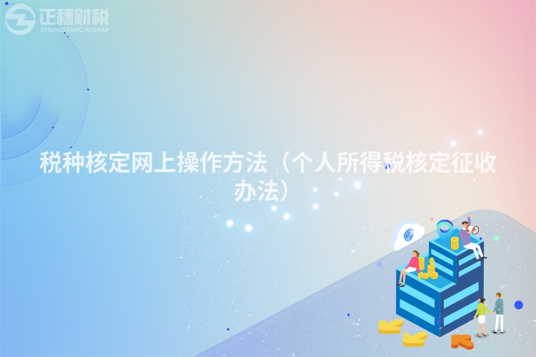 稅種核定網(wǎng)上操作方法（個(gè)人所得稅核定征收辦法）