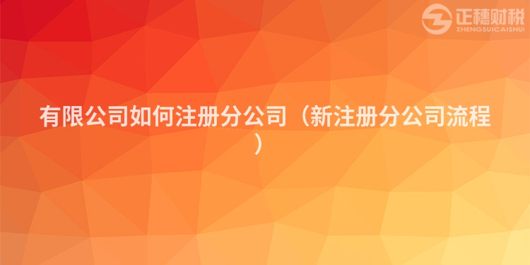 有限公司如何注冊分公司（新注冊分公司流程）