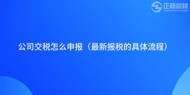 公司交稅怎么申報(bào)(最新報(bào)稅的具體流程)