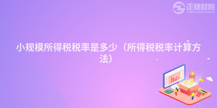 小規(guī)模所得稅稅率是多少（所得稅稅率計算方法）