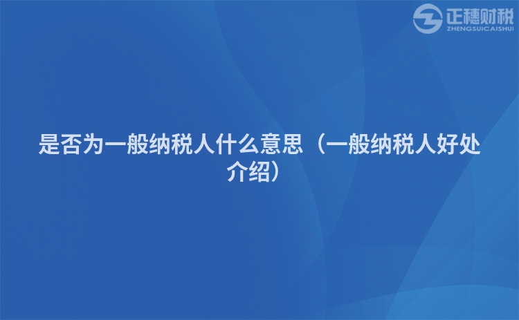 是否為一般納稅人什么意思（一般納稅人好處介紹）