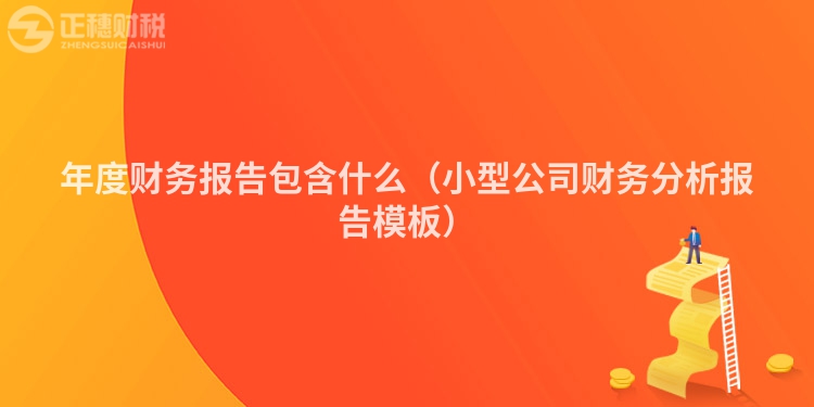 年度財務報告包含什么（小型公司財務分析報告模板）